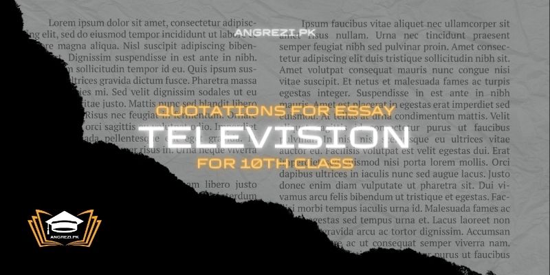 Quotations For Essay Television