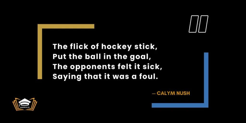 a hockey match essay quotation
