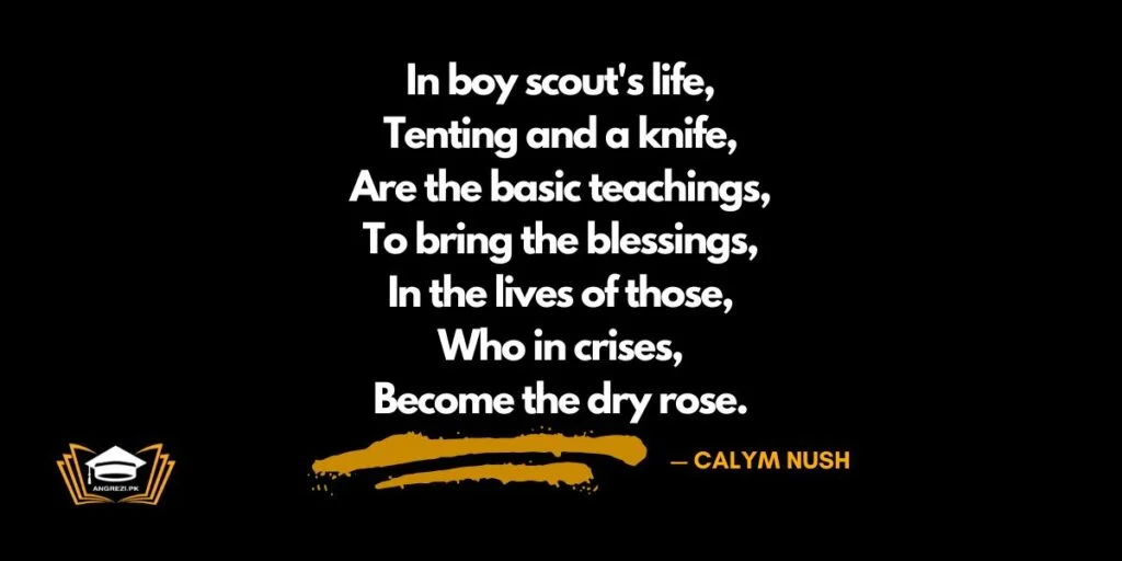 boy scout essay quotation
