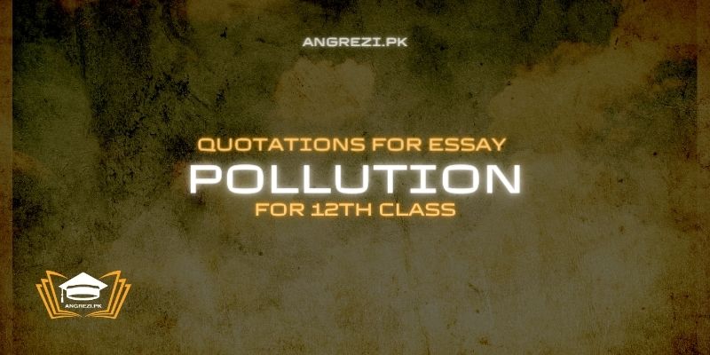 pollution essay with quotations for 2nd year